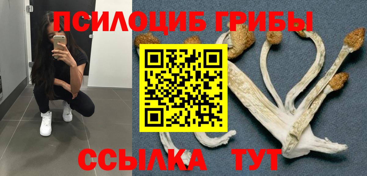Псилоцибиновые грибы GOLDEN TEACHER Ухта